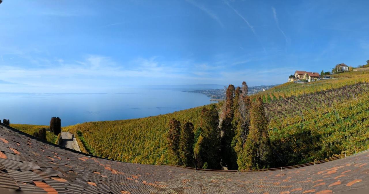 Domaine De La Crausaz Grandvaux Exterior foto